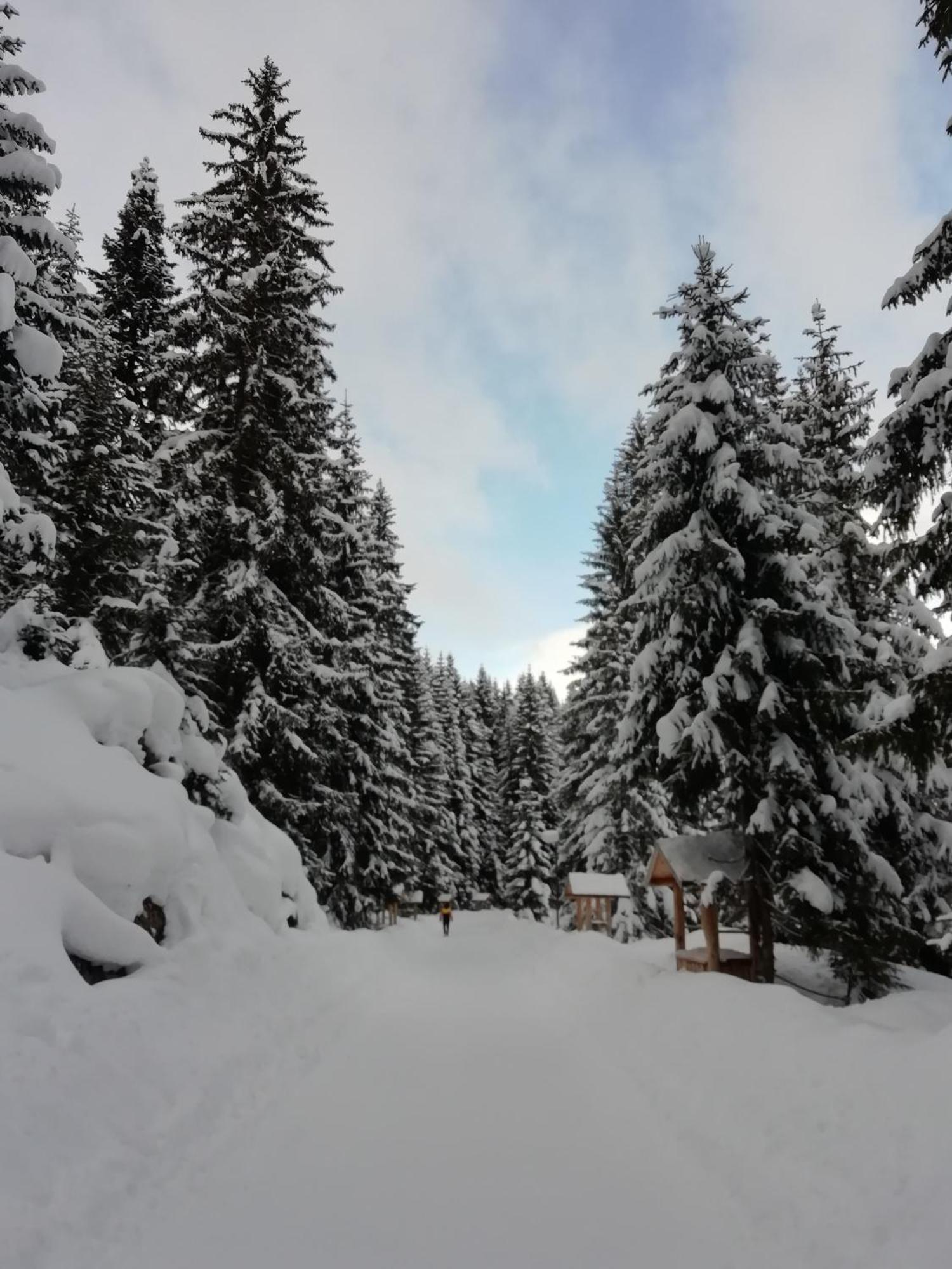 Chalet Kovacevic Žabljak Buitenkant foto